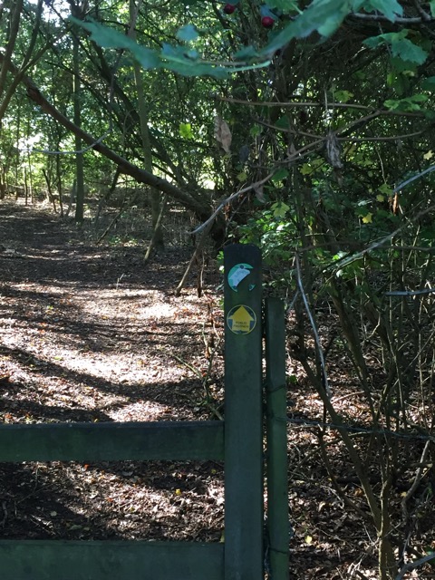 15.9.2018 ( Section 14 )