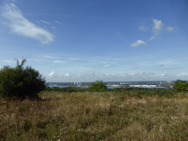 15.9.2018 ( Section 14 )