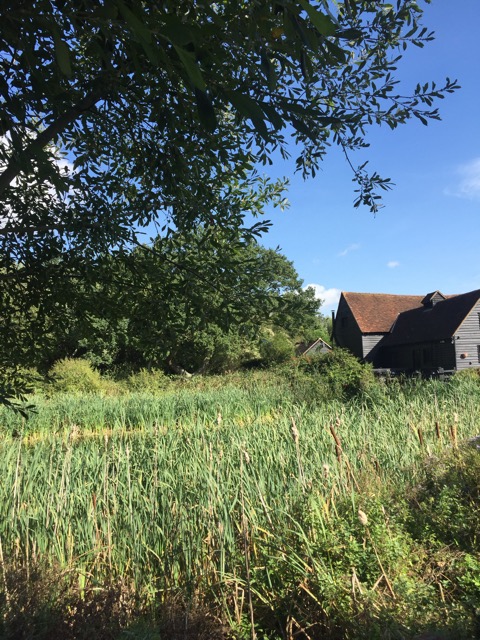 15.9.2018 ( Section 14 )