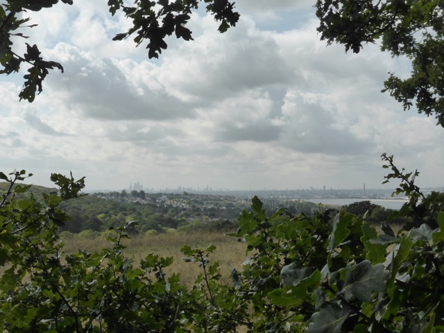 15.9.2018 ( Section 14 )