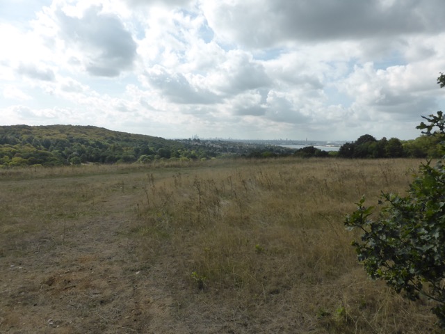 15.9.2018 ( Section 14 )