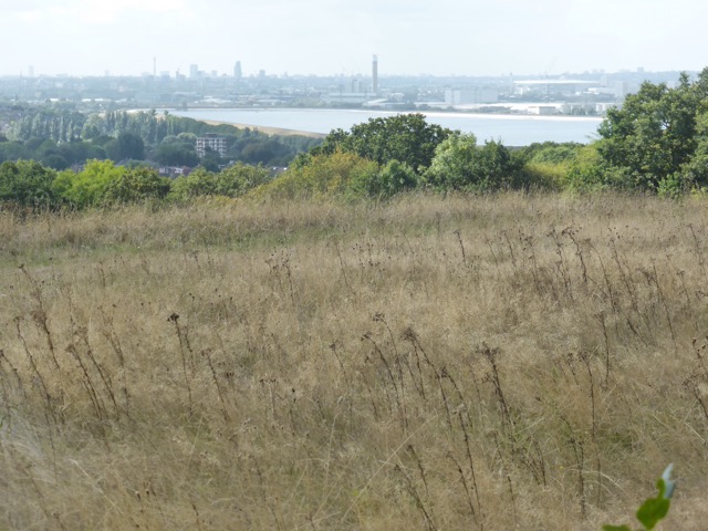 15.9.2018 ( Section 14 )