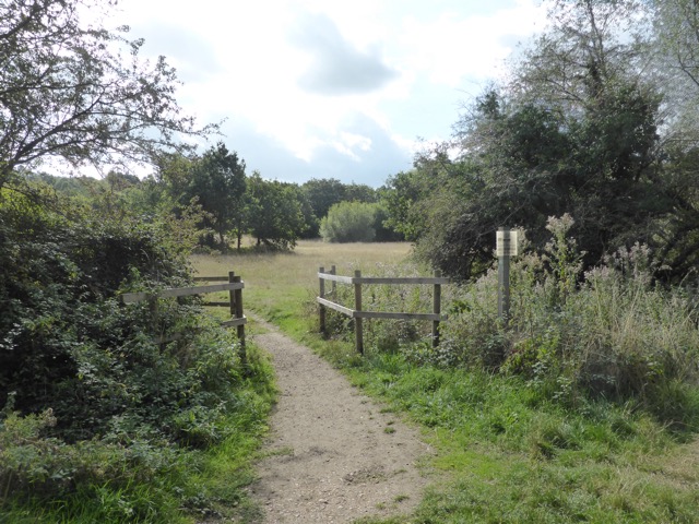 15.9.2018 ( Section 14 )