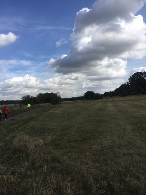 15.9.2018 ( Section 14 )