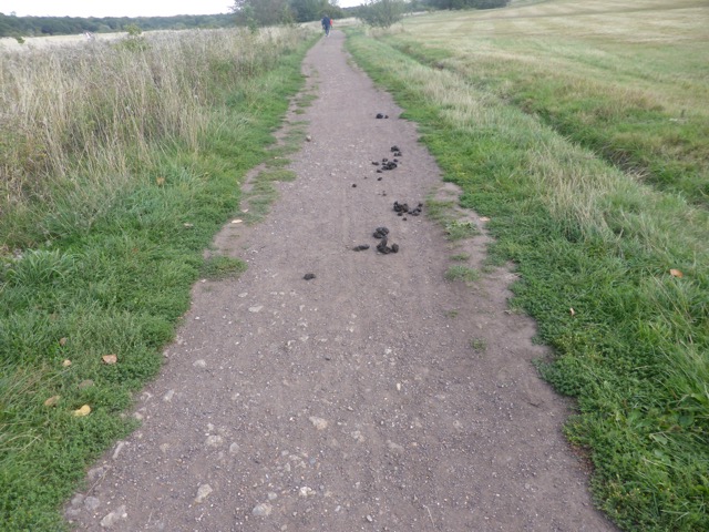 15.9.2018 ( Section 14 )