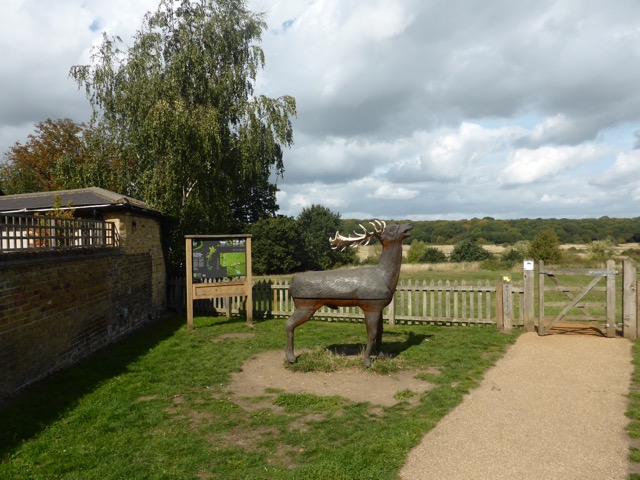 15.9.2018 ( Section 14 )