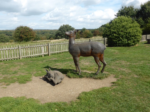 15.9.2018 ( Section 14 )