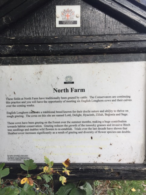 15.9.2018 ( Section 14 )