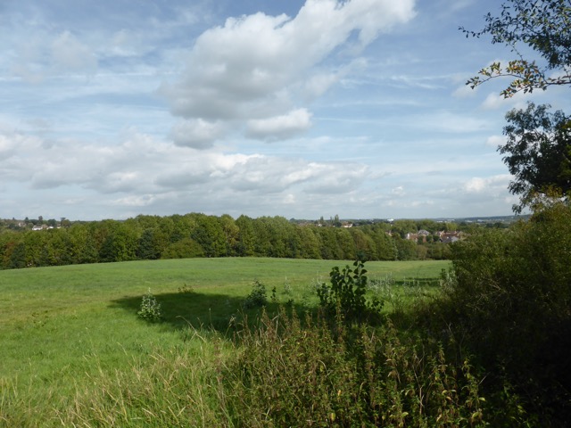 15.9.2018 ( Section 14 )