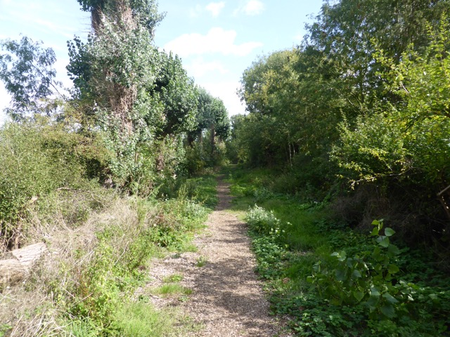 15.9.2018 ( Section 14 )