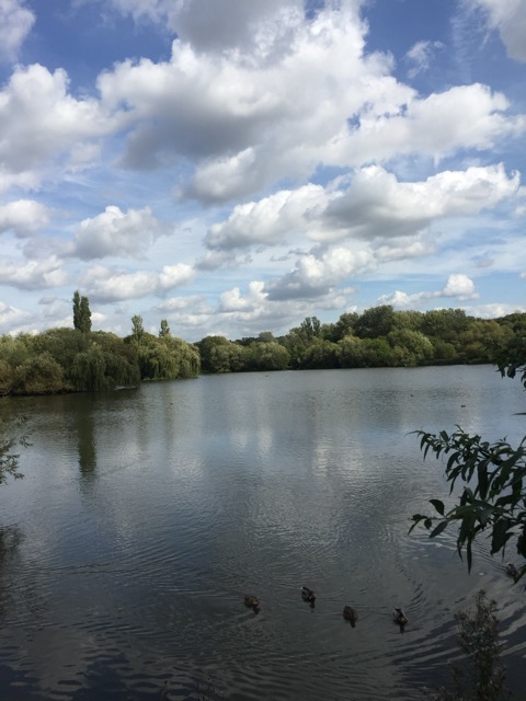 15.9.2018 ( Section 14 )