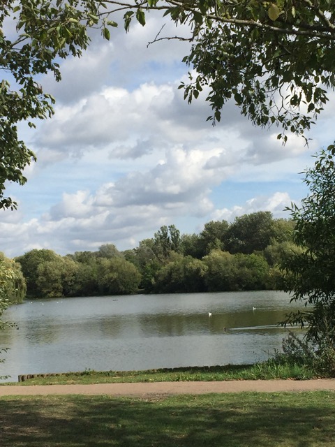 15.9.2018 ( Section 14 )