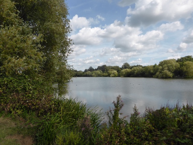 15.9.2018 ( Section 14 )