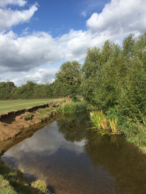 15.9.2018 ( Section 14 )