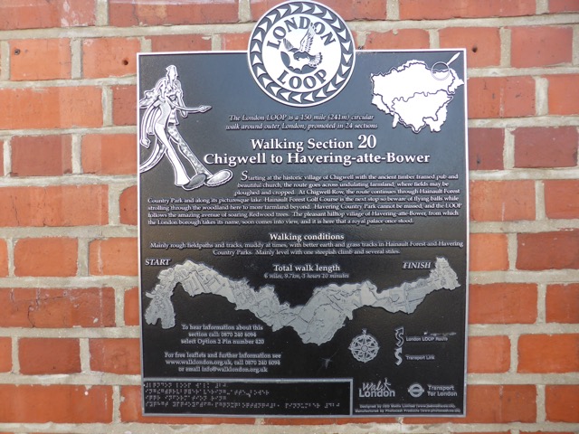 LL Section 15 ( 1.6.2019 )