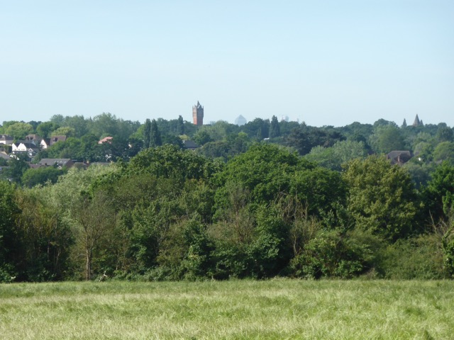 LL Section 15 ( 1.6.2019 )