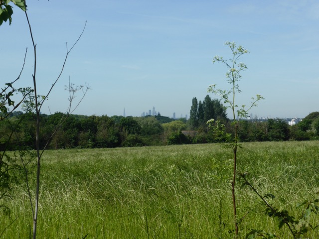 LL Section 15 ( 1.6.2019 )