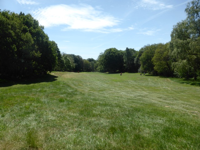 LL Section 15 ( 1.6.2019 )