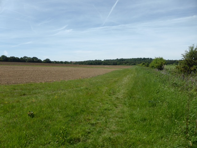 LL Section 15 ( 1.6.2019 )