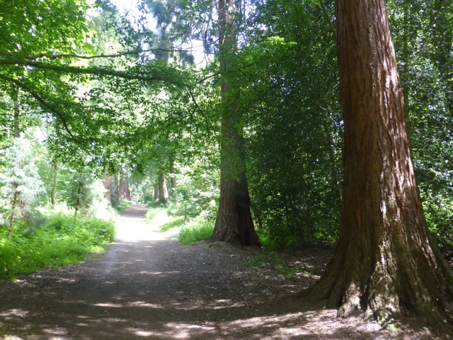 LL Section 15 ( 1.6.2019 )