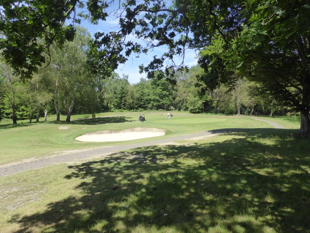 LL Section 15 ( 1.6.2019 )