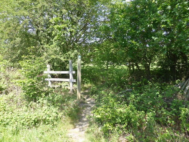 LL Section 15 ( 1.6.2019 )