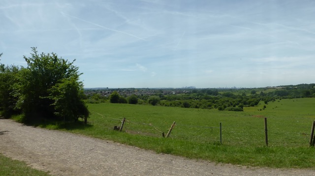 LL Section 15 ( 1.6.2019 )