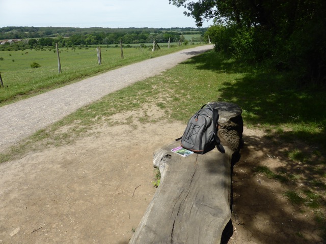 LL Section 15 ( 1.6.2019 )