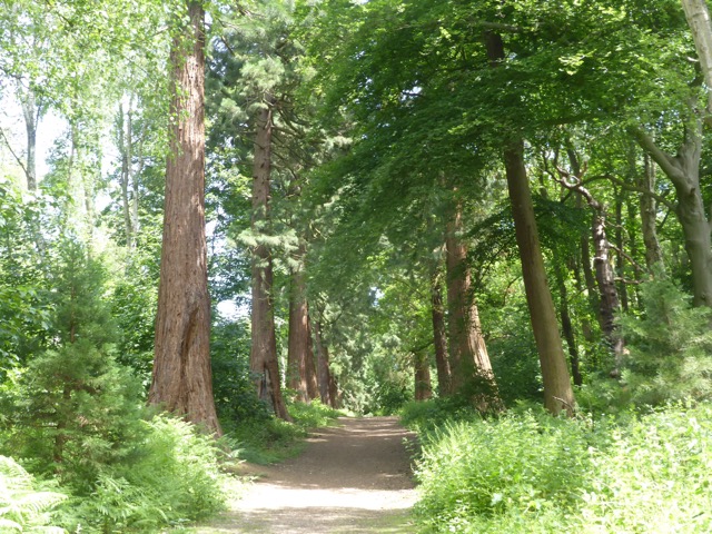 LL Section 15 ( 1.6.2019 )