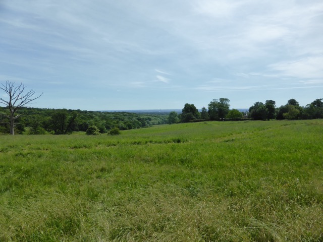 LL Section 15 ( 1.6.2019 )