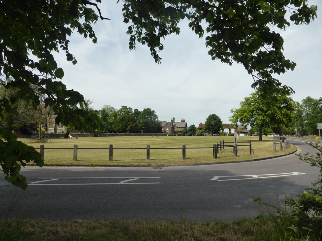 LL Section 15 ( 1.6.2019 )