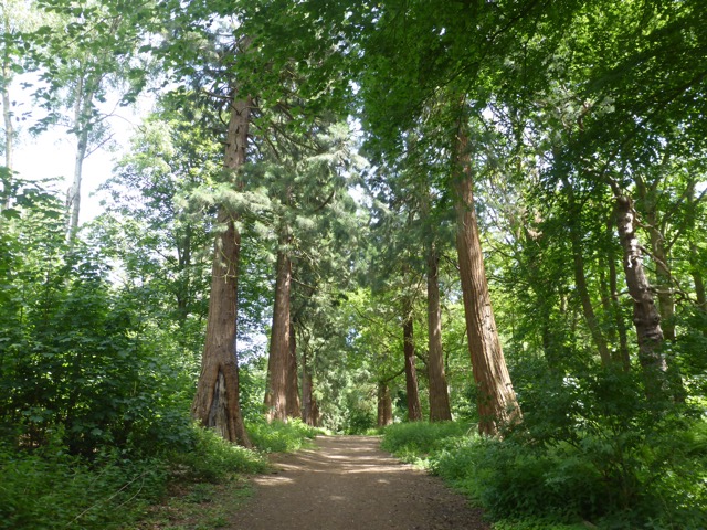 LL Section 15 ( 1.6.2019 )