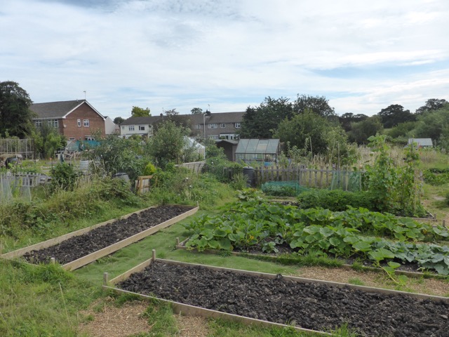 LL Section 16 ( 23.7.2020 )