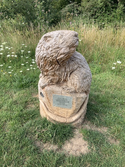 LL Section 16 ( 23.7.2020 )