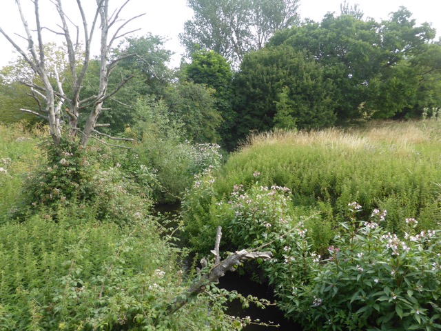 LL Section 16 ( 23.7.2020 )