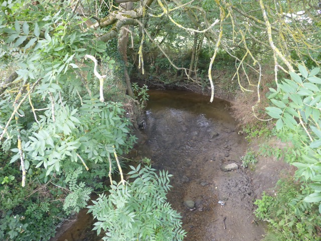 LL Section 16 ( 23.7.2020 )