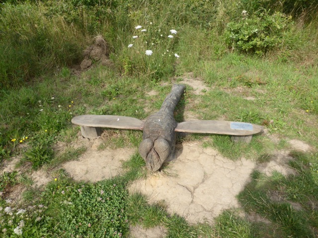 LL Section 16 ( 23.7.2020 )