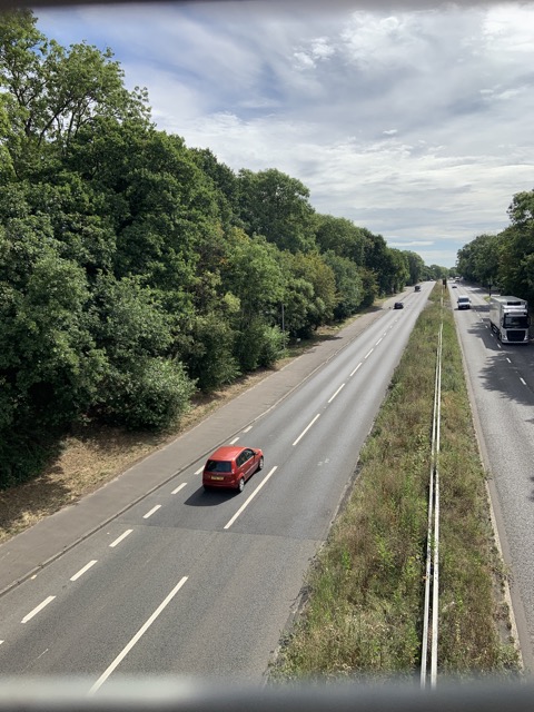 LL Section 16 ( 23.7.2020 )