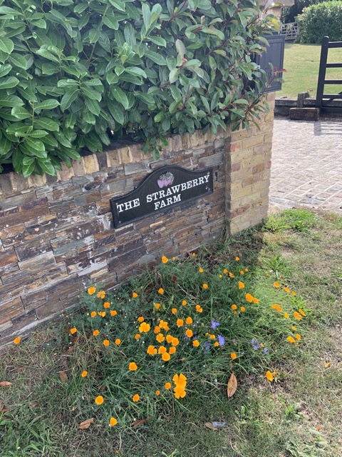 LL Section 16 ( 23.7.2020 )