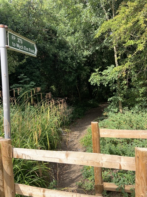 LL Section 16 ( 23.7.2020 )