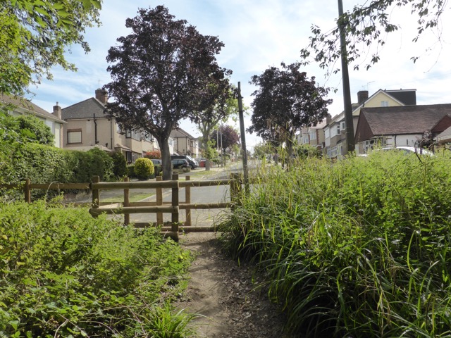 LL Section 16 ( 23.7.2020 )