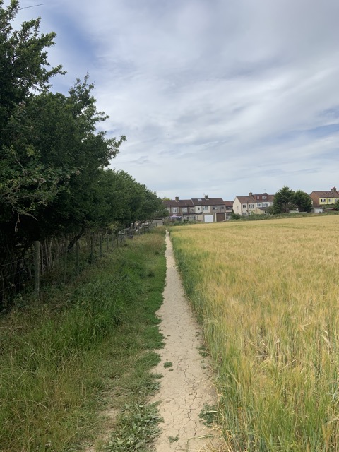 LL Section 16 ( 23.7.2020 )