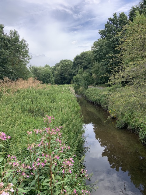 LL Section 16 ( 23.7.2020 )