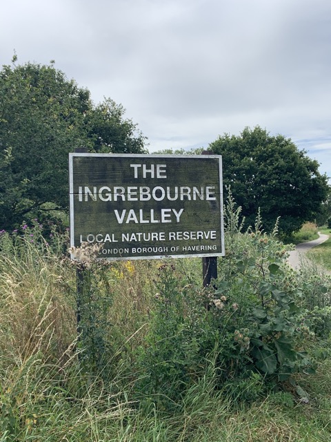 LL Section 16 ( 23.7.2020 )