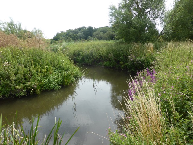 LL Section 16 ( 23.7.2020 )