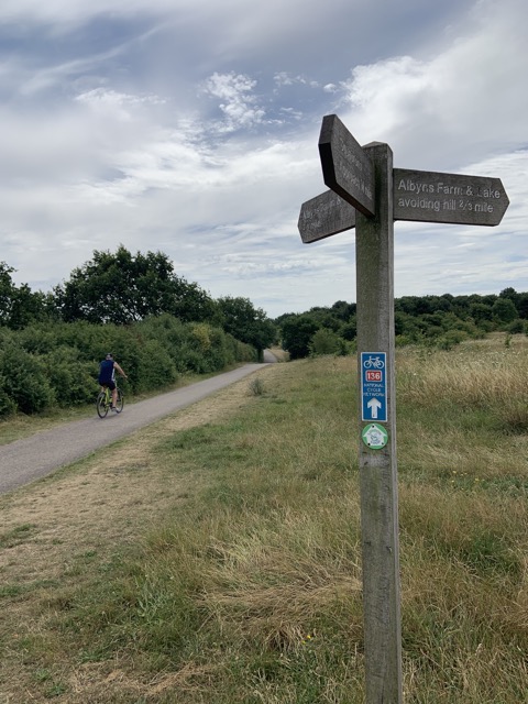 LL Section 16 ( 23.7.2020 )