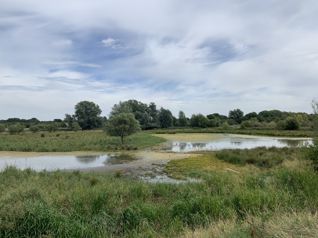 LL Section 16 ( 23.7.2020 )