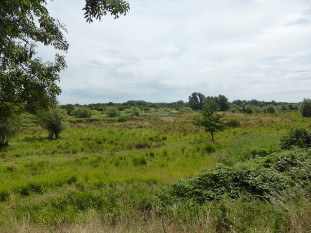 LL Section 16 ( 23.7.2020 )