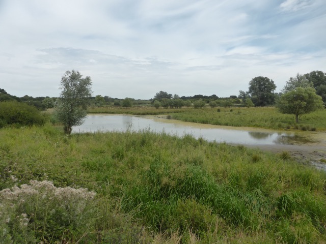 LL Section 16 ( 23.7.2020 )