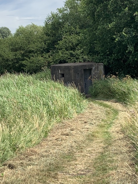 LL Section 16 ( 23.7.2020 )